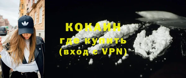 индика Россошь