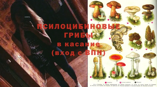 индика Россошь