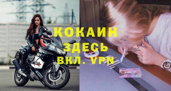 индика Россошь