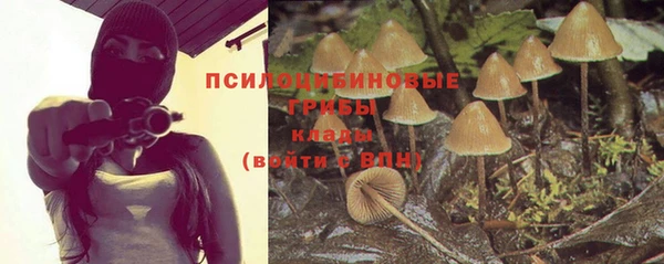 соль курить ск Рославль