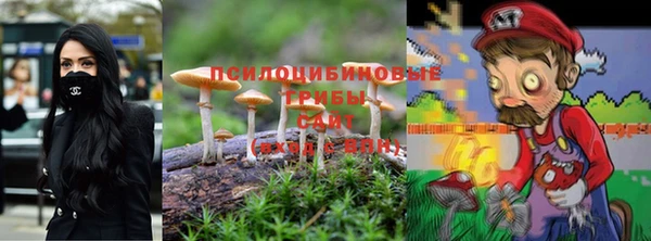 индика Россошь