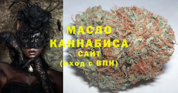 индика Россошь